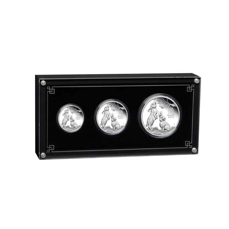 Lunar Zilveren Munt 2023 perspectief 1