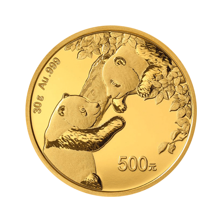 30g Panda Gouden Munt 2023 voorkant