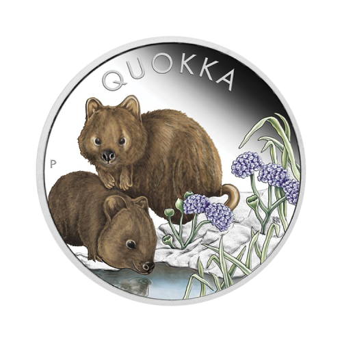 Thumbnail 1 troy ounce zilveren munt Quokka gekleurd 2023 proof voorkant