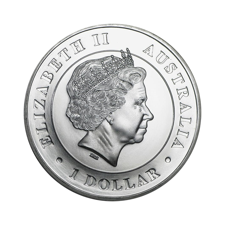 1 Troy ounce silver Funnelweb Spider 2015 back