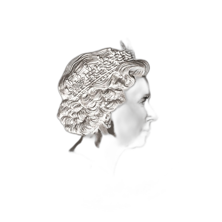 10 kilo Lunar Plata 2016 angle 1