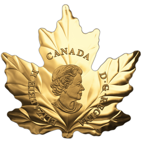 Thumbnail 1 oz Royal Canadian Mint Oro 2017 angle 1