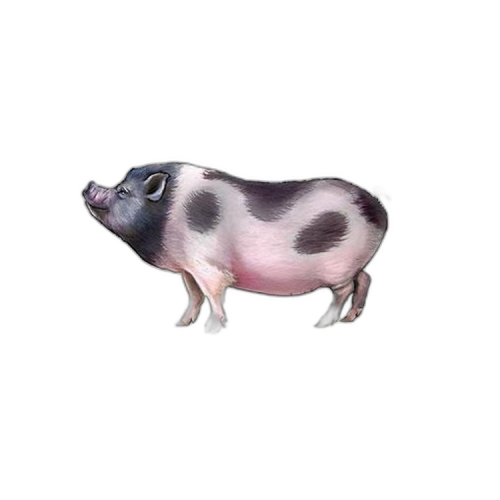 Thumbnail 4 oz Lunar d'Argent 2019 angle 2