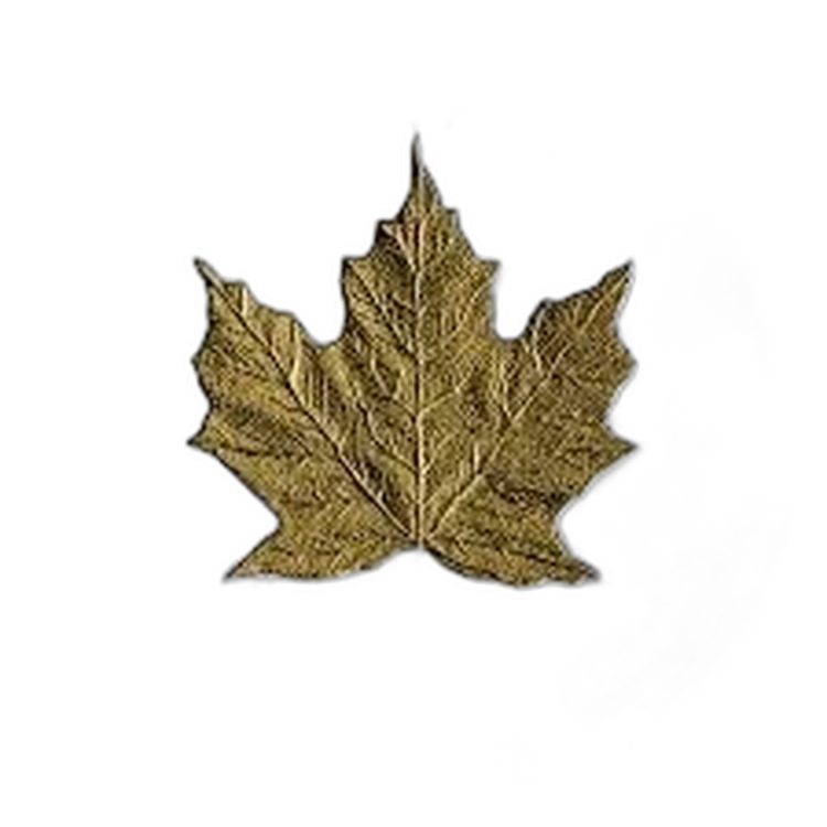 1 oz Royal Canadian Mint d'Argent 2019 back