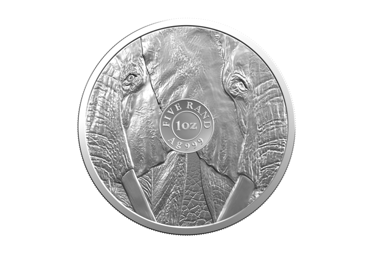 2 oz South African Mint Silver Coin angle 2
