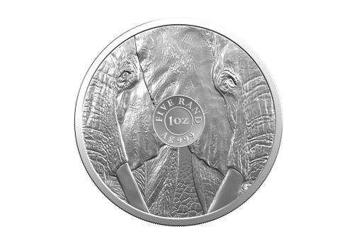 Thumbnail 2 oz South African Mint Silver Coin angle 2