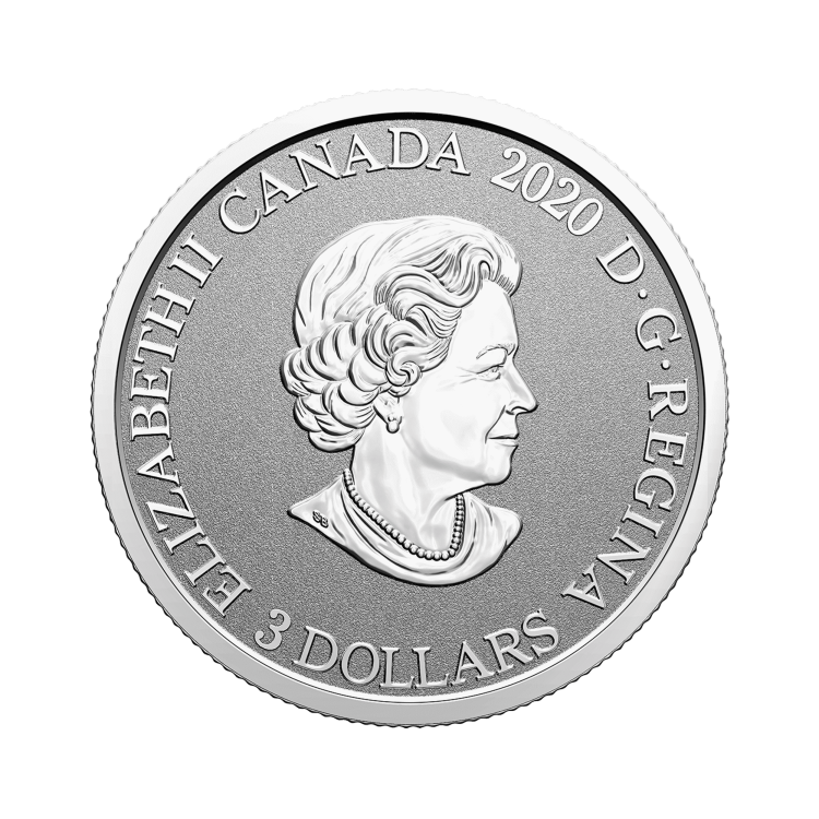 Silver coin Flower Emblems of Canada Mayflower back