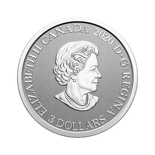 Thumbnail Silver coin Flower Emblems of Canada Mayflower back