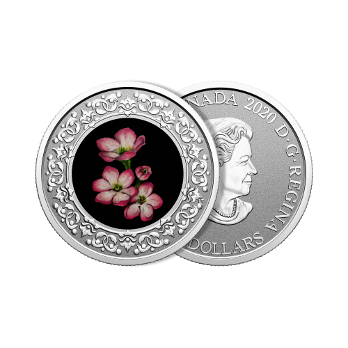 Thumbnail Silver coin Flower Emblems of Canada Mayflower angle 1