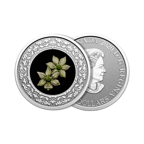 Thumbnail Silver coin Flower Emblems of Canada Pacific Dodgewood angle 1