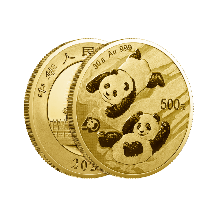 30g Panda Gouden Munt 2022 perspectief 2