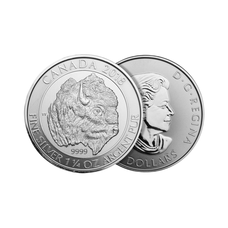 1,25 oz Royal Canadian Mint Zilveren Munt Divers perspectief 1