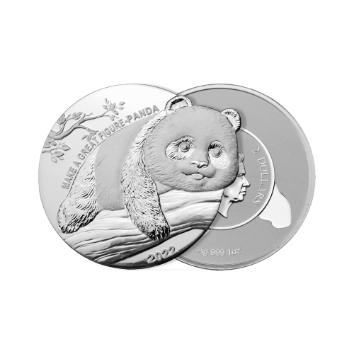 Thumbnail 1 troy ounce zilveren munt Panda "Laat zien wat je kunt" 2022 perspectief 1