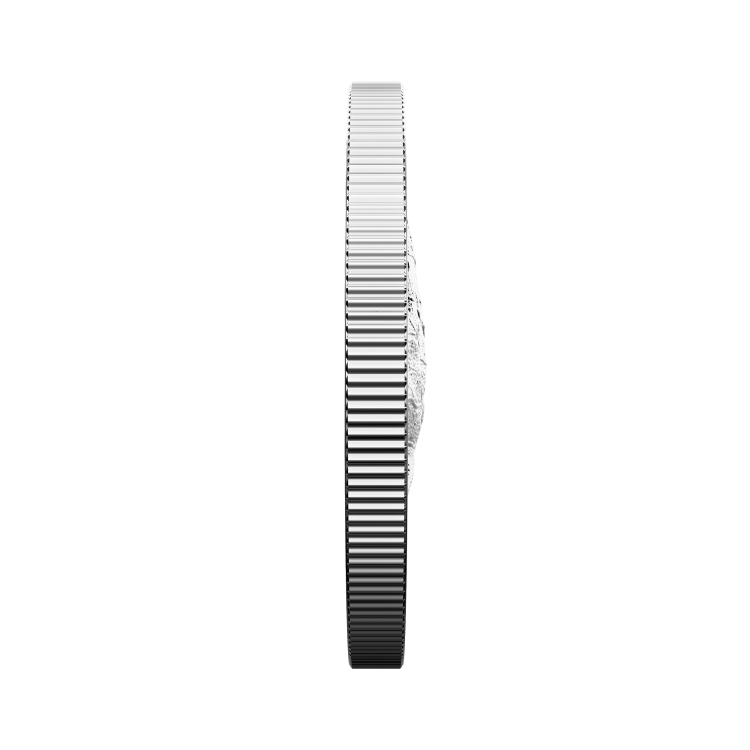 5 oz Royal Canadian Mint Zilveren Munt 2022 perspectief 2