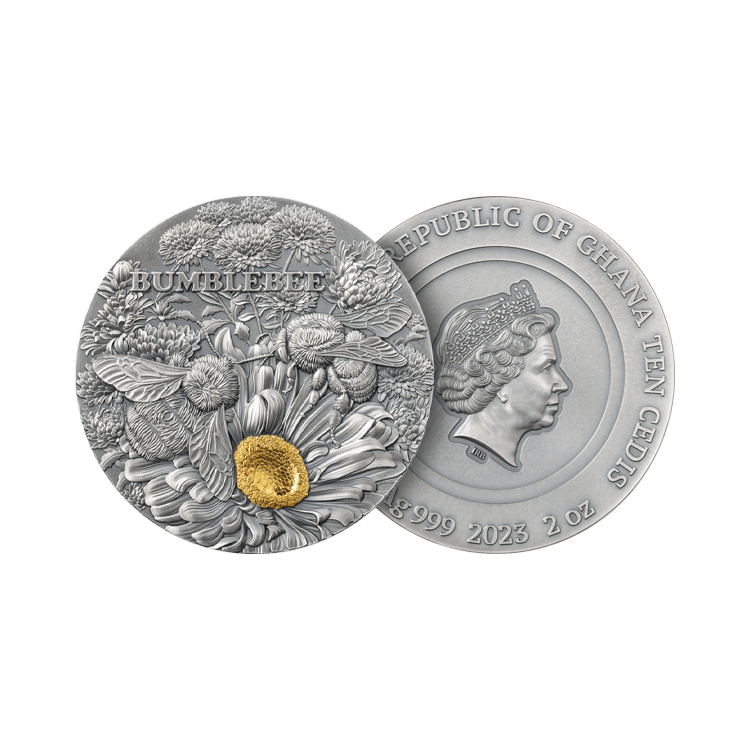 2 troy ounce zilveren munt Hommel antieke afwerking 2023 perspectief 1