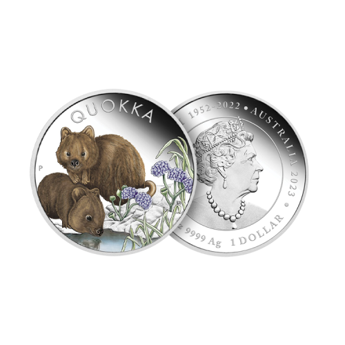 Thumbnail 1 troy ounce zilveren munt Quokka gekleurd 2023 proof perspectief 1