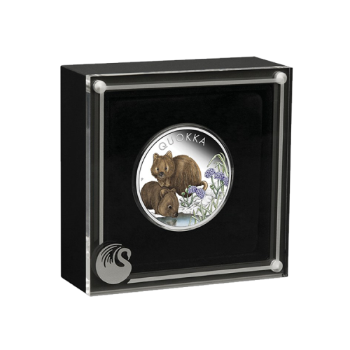 Thumbnail 1 troy ounce zilveren munt Quokka gekleurd 2023 proof perspectief 2