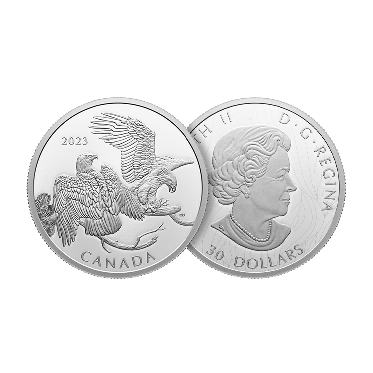 2 oz Royal Canadian Mint Zilveren Munt 2023 perspectief 1