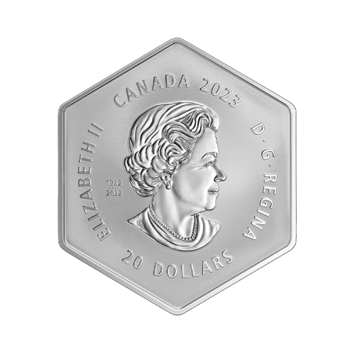 Thumbnail 20 dollar zilveren munt Sneeuwvlok 2023 proof achterkant