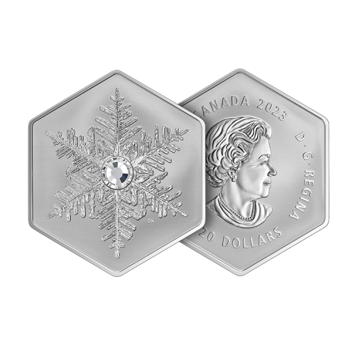 Thumbnail 20 dollar zilveren munt Sneeuwvlok 2023 proof perspectief 1
