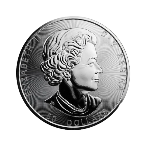 Thumbnail 10 oz Maple Leaf Silver Coin back