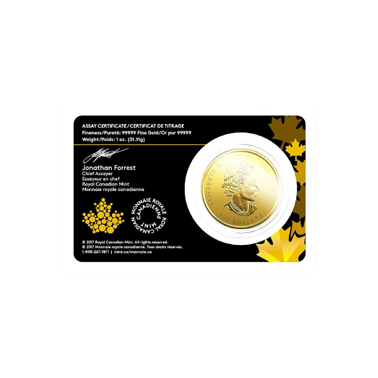 1 oz Royal Canadian Mint Gouden Munt Divers achterkant