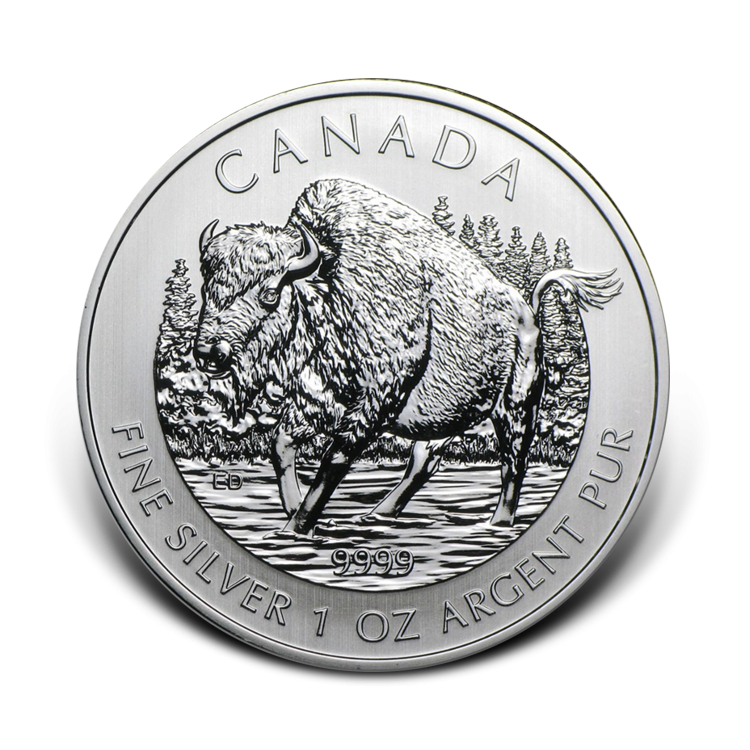 1 oz Royal Canadian Mint Zilveren Munt 2013 voorkant