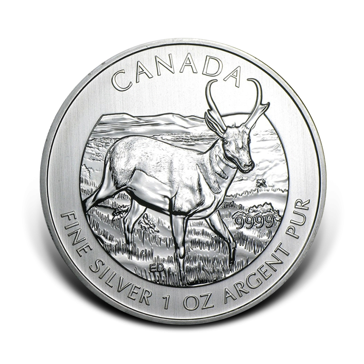 1 oz Royal Canadian Mint Zilveren Munt 2013 voorkant