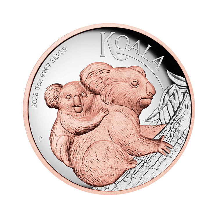 5 oz Koala Zilveren Munt 2023 voorkant