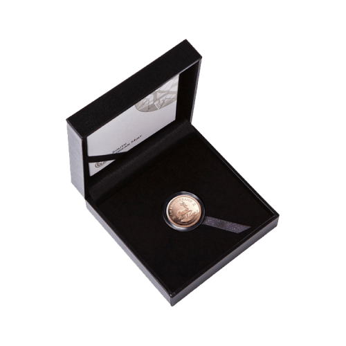 Thumbnail 1/2 oz Krugerrand Proof Gold Coin 2024 angle 2