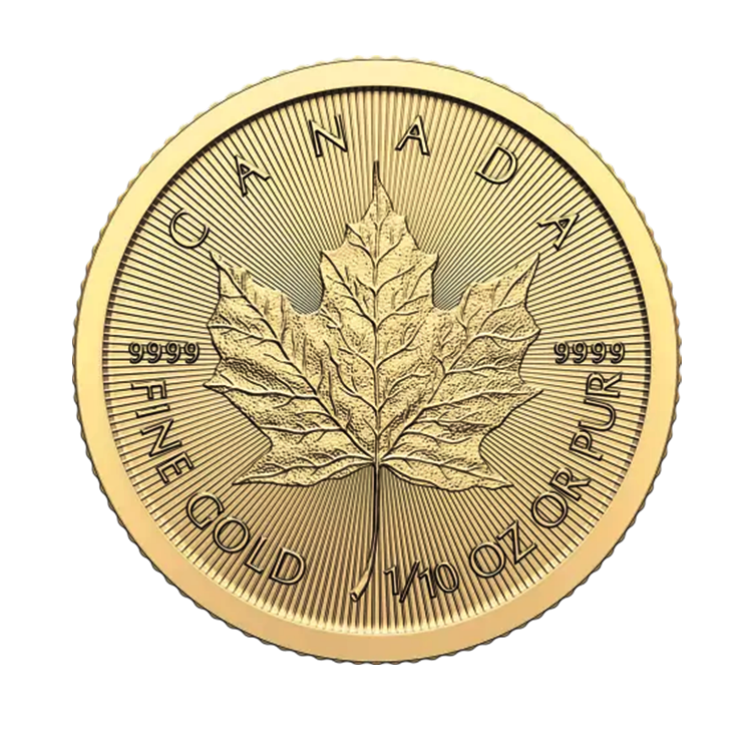 1/10 oz Maple Leaf Gouden Munt 2024 voorkant
