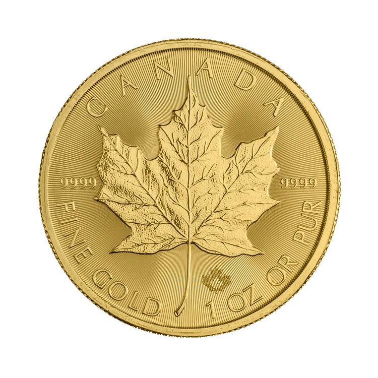 1 oz Maple Leaf Gouden Munt Divers voorkant
