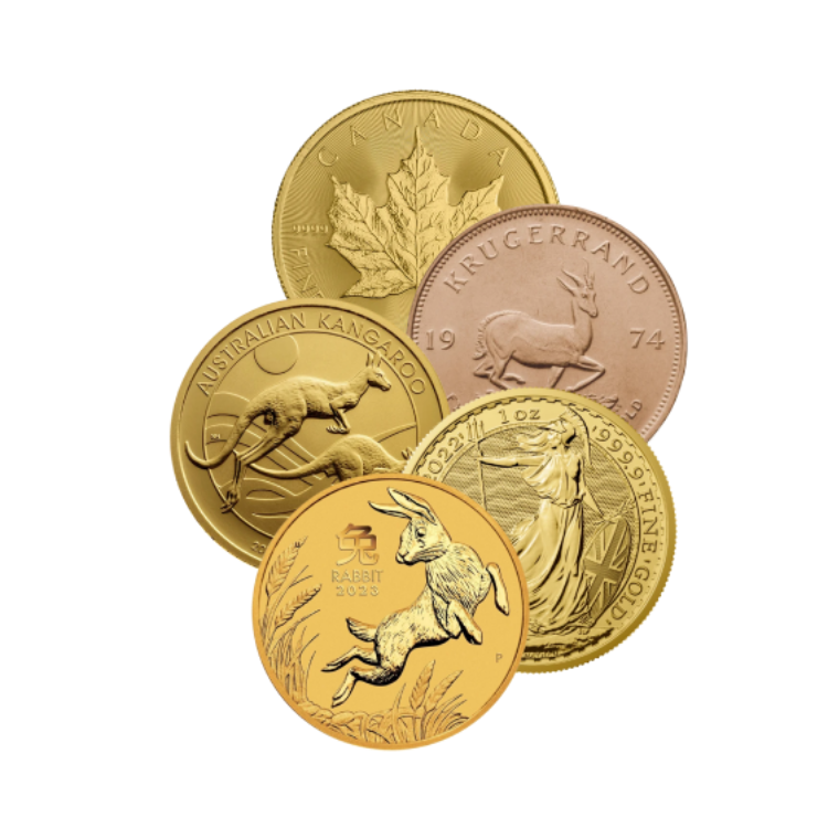 1 oz Divers Gouden Munt Divers voorkant