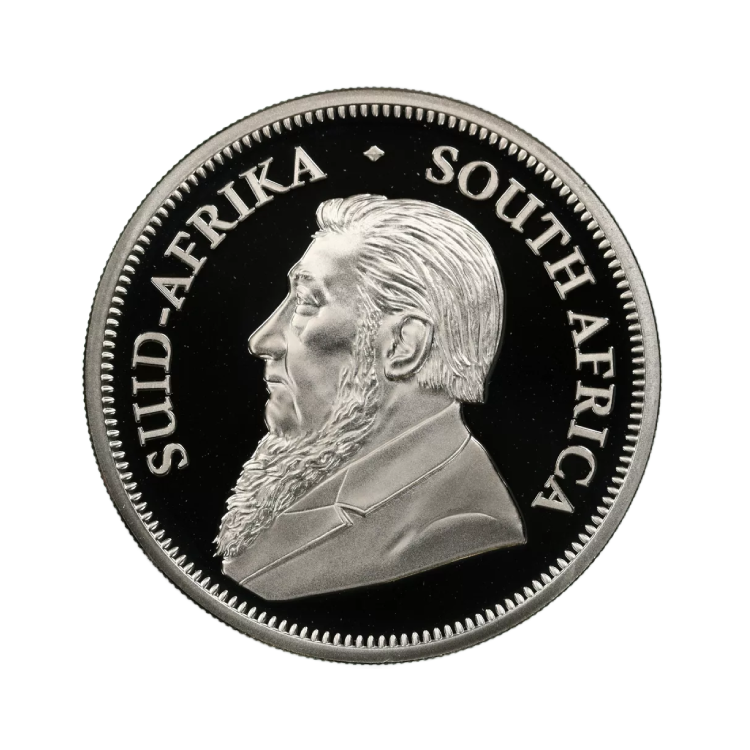 2 oz Krugerrand Silbermünze 2021 back