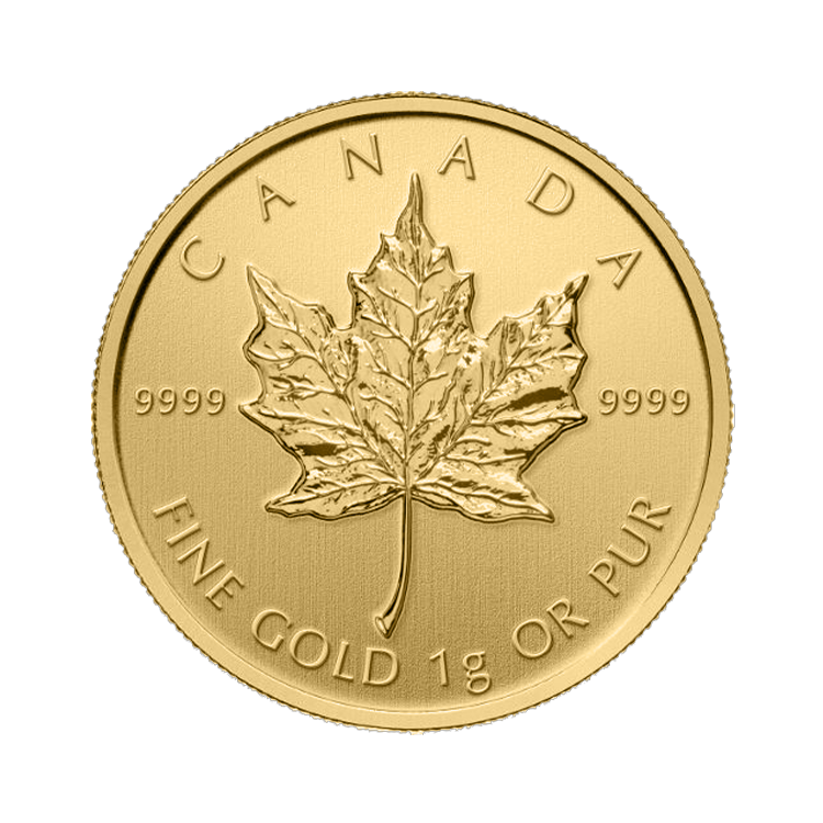 25g Maple Leaf Or Plusieurs Années back