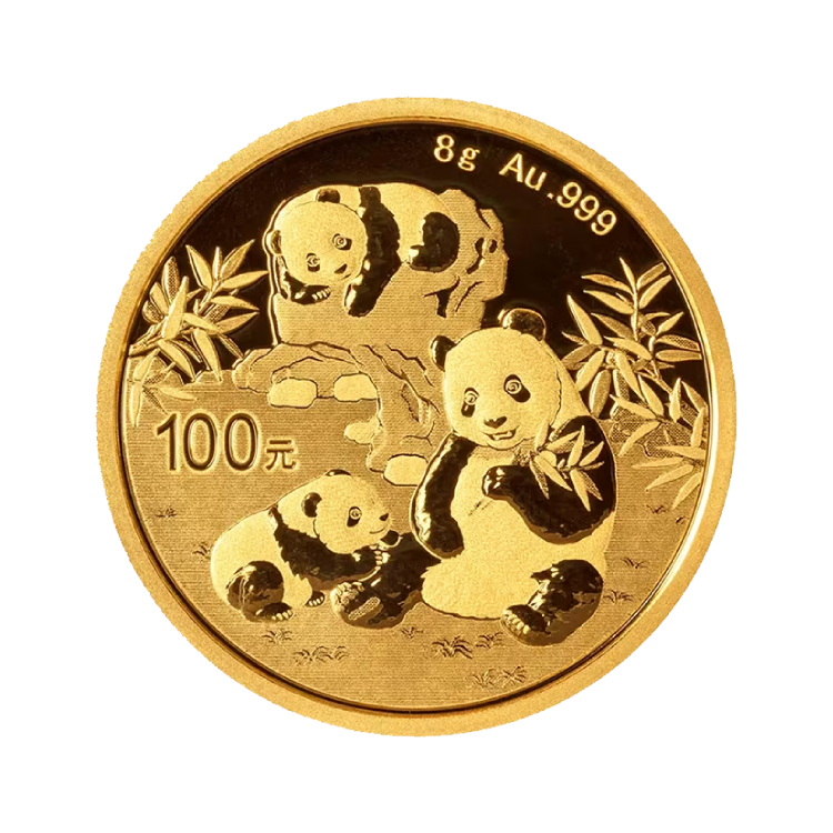 Pièce Panda en or de 8 grammes 2025 front