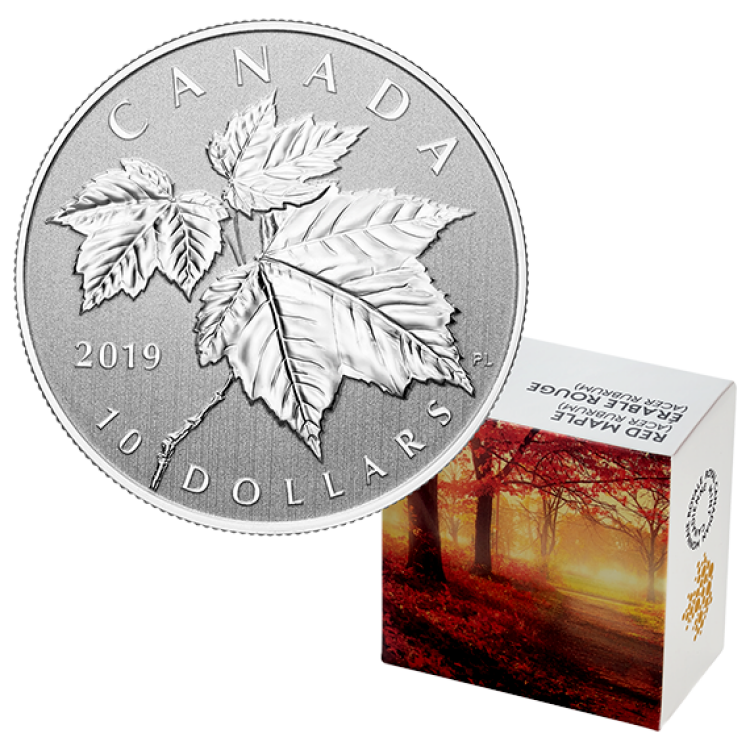 1/2 oz Maple Leaf Silver Coin 2019 front