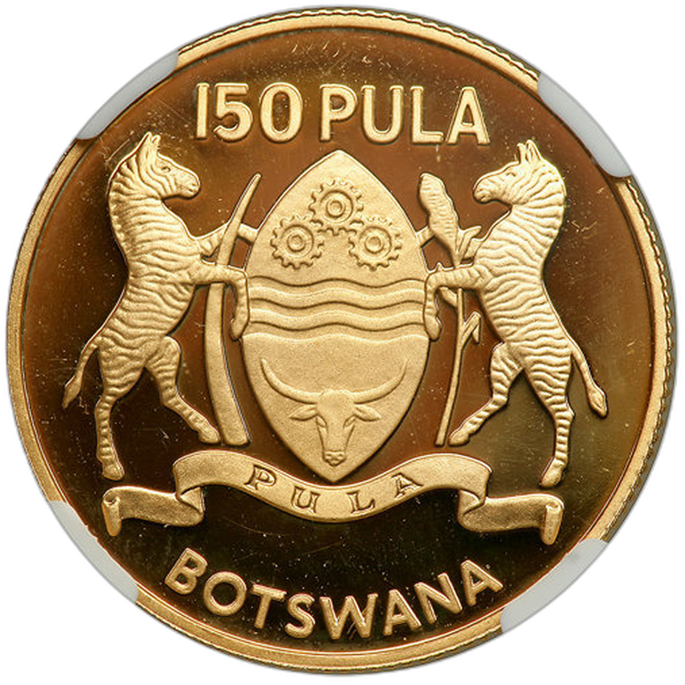 20 oz South African Mint Silver Coin Mixed Years front