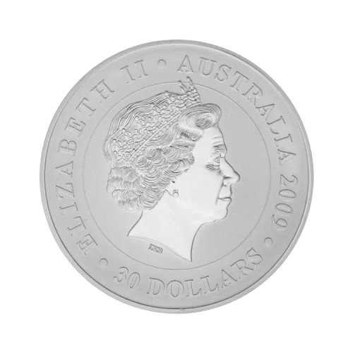 Thumbnail Australian Koala 1 kilo