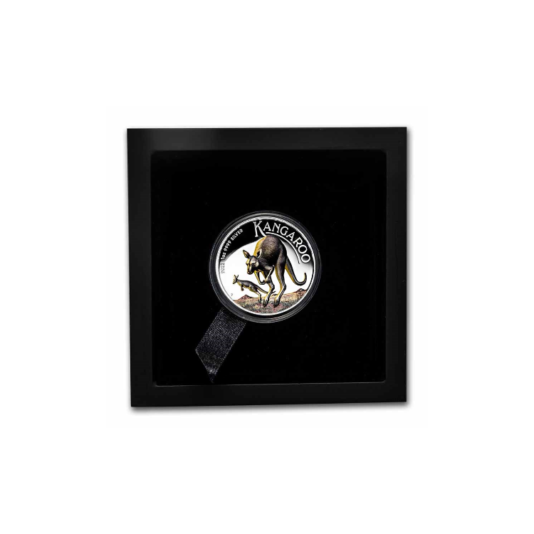 1 troy ounce silver coin Australian kangaroo 2022 in color angle 1