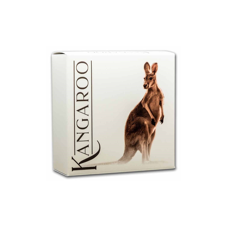 1 troy ounce silver coin Australian kangaroo 2022 in color angle 2
