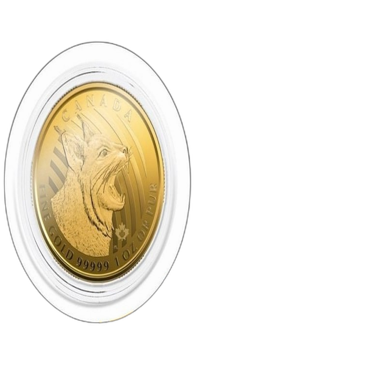 1 oz Royal Canadian Mint Gouden Munt 2020 voorkant