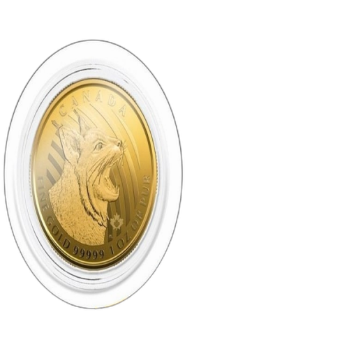 Thumbnail 1 oz Royal Canadian Mint Gouden Munt 2020 voorkant