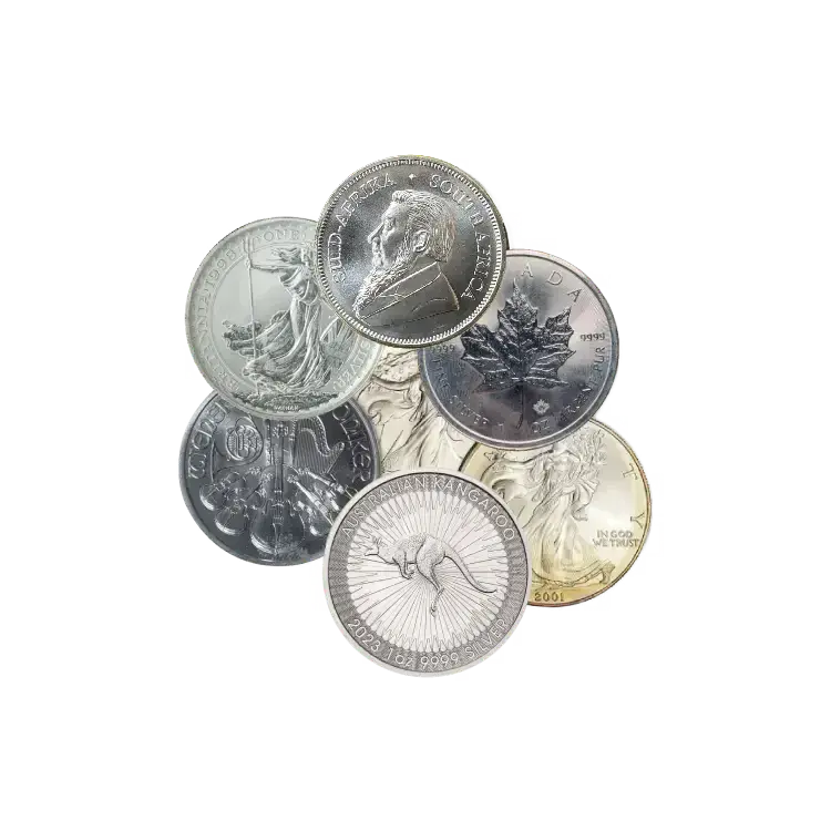 Circulated 1 oz silver coin