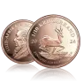 1/10 troy ounce gouden Krugerrand munt 2026