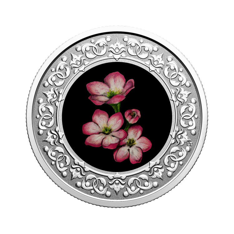 Silver coin Flower Emblems of Canada Mayflower front