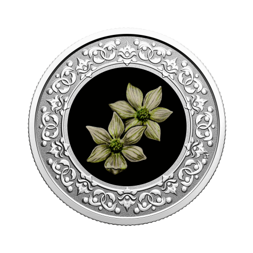 Thumbnail Silver coin Flower Emblems of Canada Pacific Dodgewood front