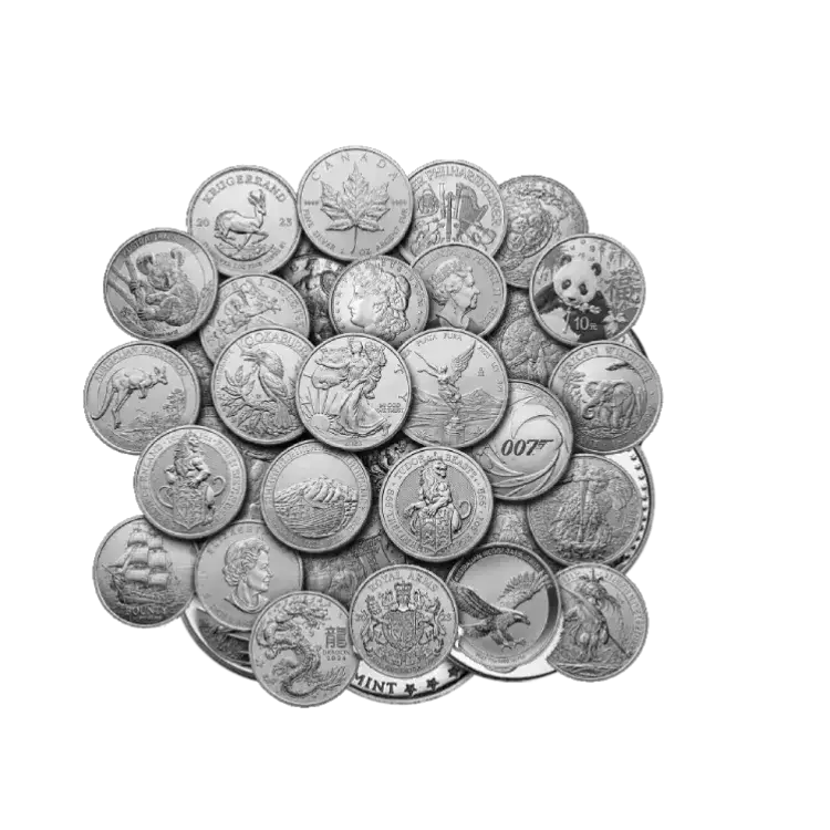 1 oz Plusieurs Années d'Argent Plusieurs Années back