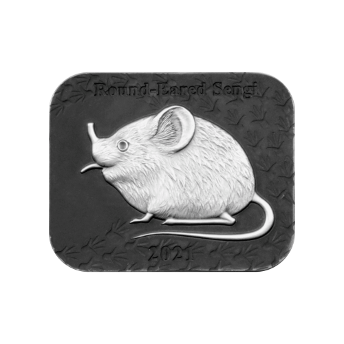 Thumbnail 2 troy ounce zilveren munt set Ronde-eared Sengi 2021 achterkant