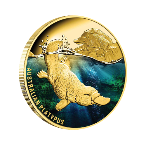 Thumbnail 1 troy ounce gouden Platypus proof munt voorkant
